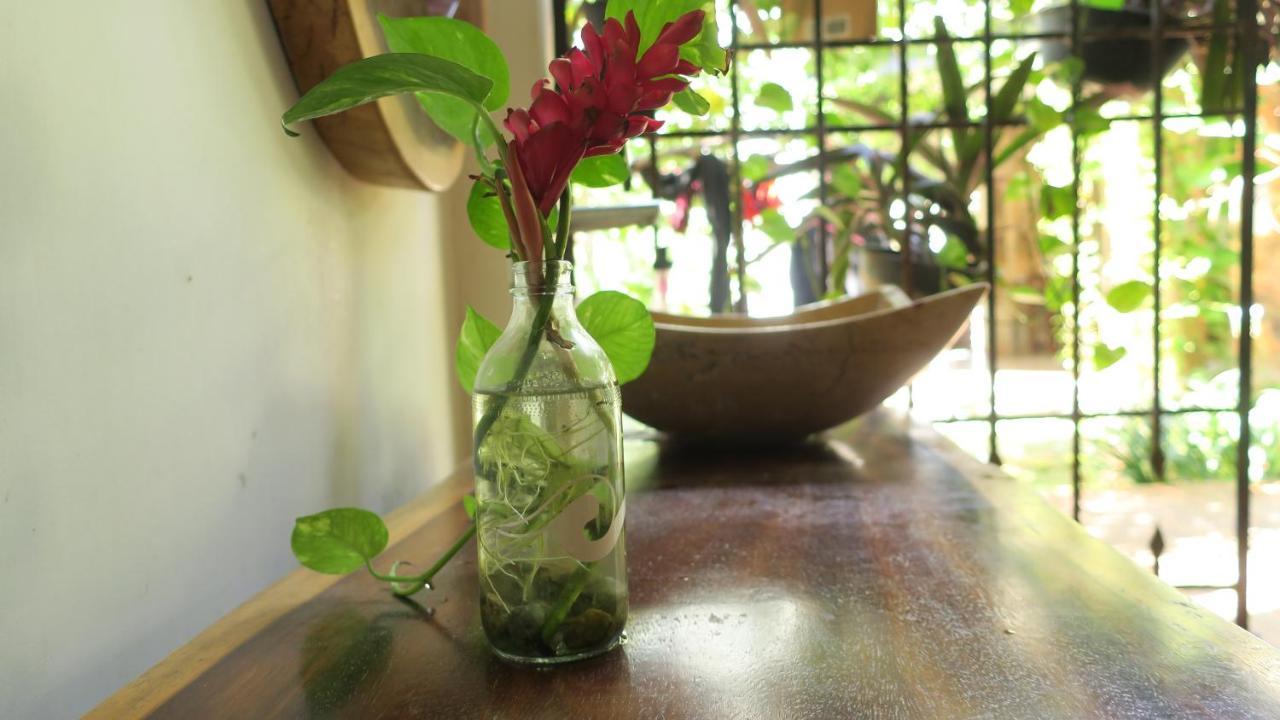 Experiencia Surf Camp Hostel Brisas de Zicatela Ngoại thất bức ảnh